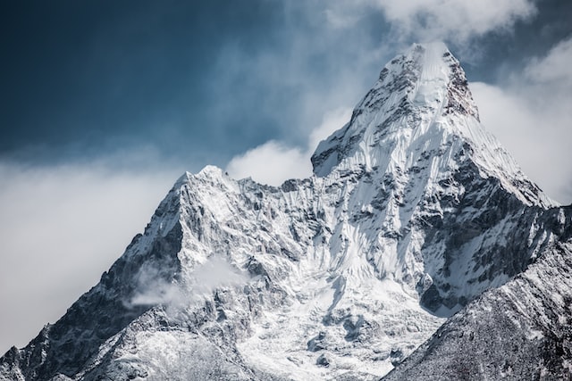Everest Groups CX Peak Matrix 2022 Recognizes CCI Global
